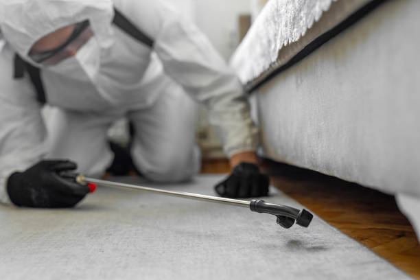 Professional Bed Bug Control technician working in Linden, MI