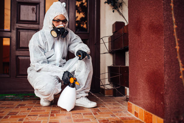 Reliable Bed Bug Control contractor in Linden, MI by Nex Pest Control
