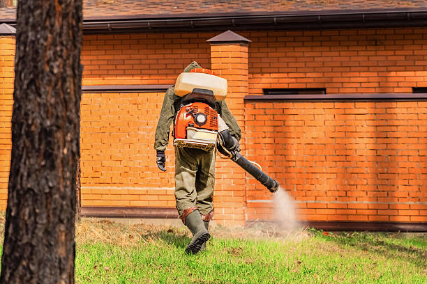 Top rated local Bed Bug Control specialists in Linden, MI
